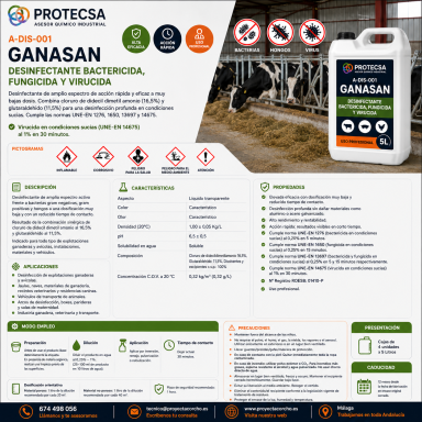 Ganasan